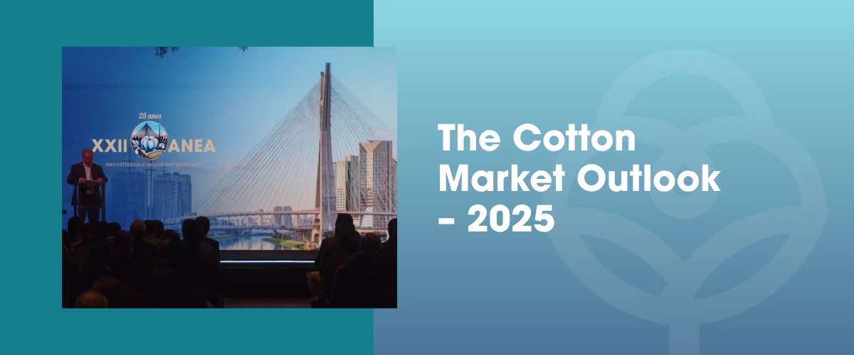 artes site - abc (19)