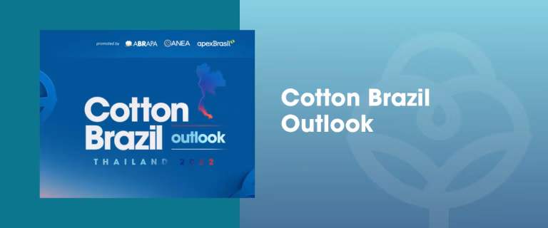 artes site - abc (20)