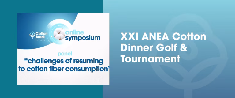 artes site - abc (22)